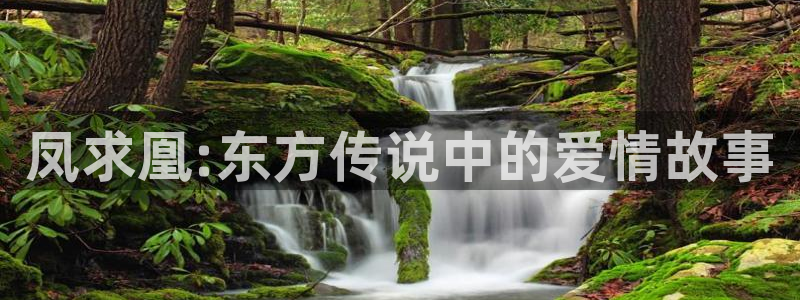 韩国漫画虫虫漫画免费阅读：凤求凰:东方传说中的爱情故事