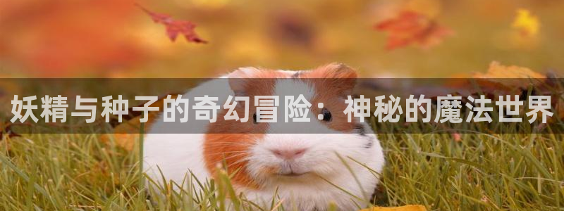 免费虫虫漫画在线阅读入口：妖精与种子的奇幻冒险：神秘的魔法世界