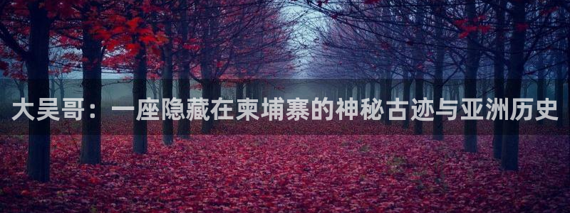 虫虫漫画入口免费：大吴哥：一座隐藏在柬埔寨的神秘古迹与亚洲历史